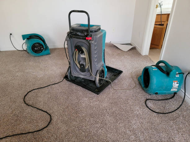 Best Emergency water damage restoration  in Bogota, NJ