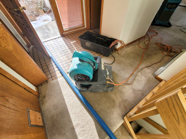 Trusted Bogota, NJ Water damage restoration Experts