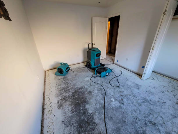 Best Water damage restoration near me  in Bogota, NJ
