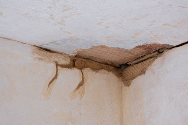 Best Fire Damage Restoration  in Bogota, NJ
