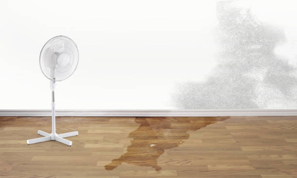 Best Ceiling water damage repair  in Bogota, NJ