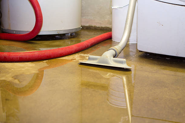 Best Local water damage restoration  in Bogota, NJ