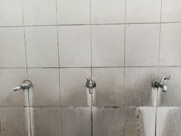 Best Water damage cleanup near me  in Bogota, NJ