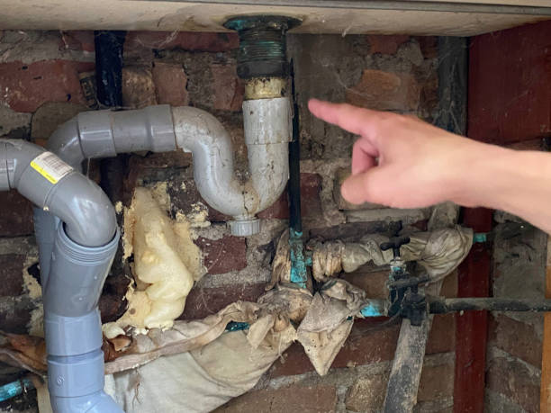  Bogota, NJ Water damage restoration Pros