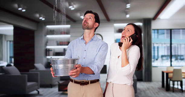 Best Commercial water damage restoration  in Bogota, NJ