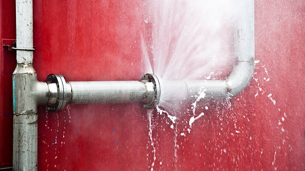 Best Flooded house restoration  in Bogota, NJ
