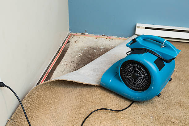 Sewage cleanup and water damage restoration in Bogota, NJ